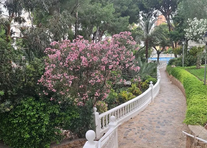 Apartment Alco Apartamentos: Playmon Park *